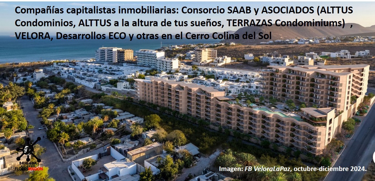 COLINA DEL SOL: Políticos, empresarios y la privatización de la calle norte