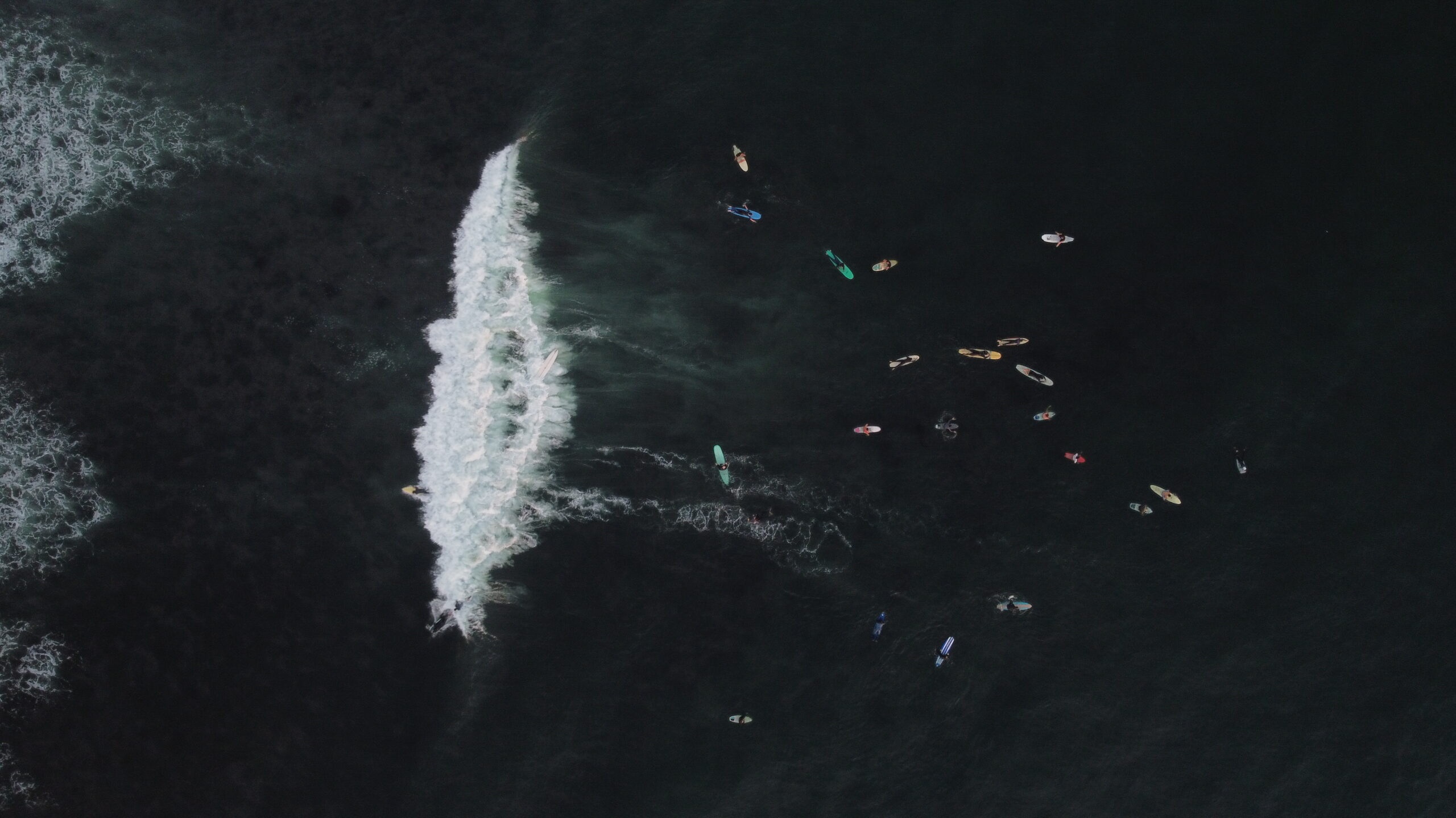 En defensa de las olas: la lucha contra expansión del puerto El Sauzal