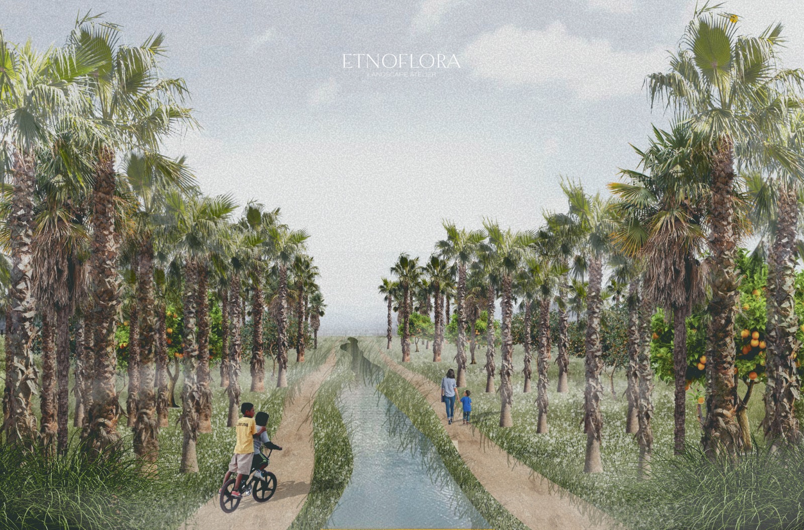 En Todos Santos proponen que oasis sea parque público