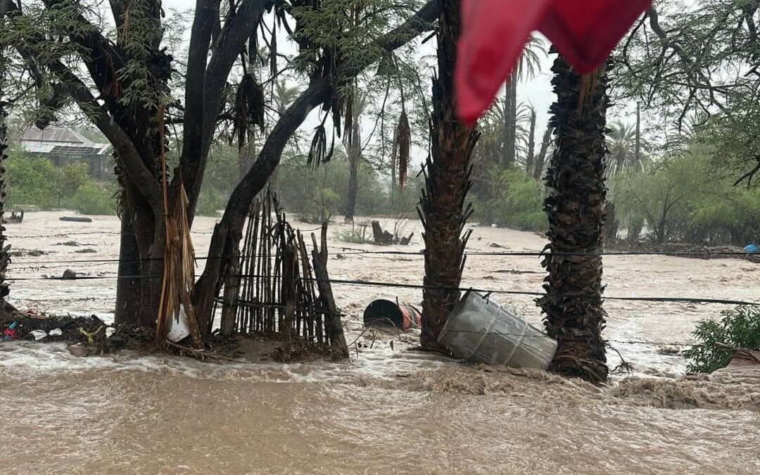 Exhorta Consejo Estatal de Protección Civil a la población, atender recomendaciones ante pronóstico de lluvias para BCS 
