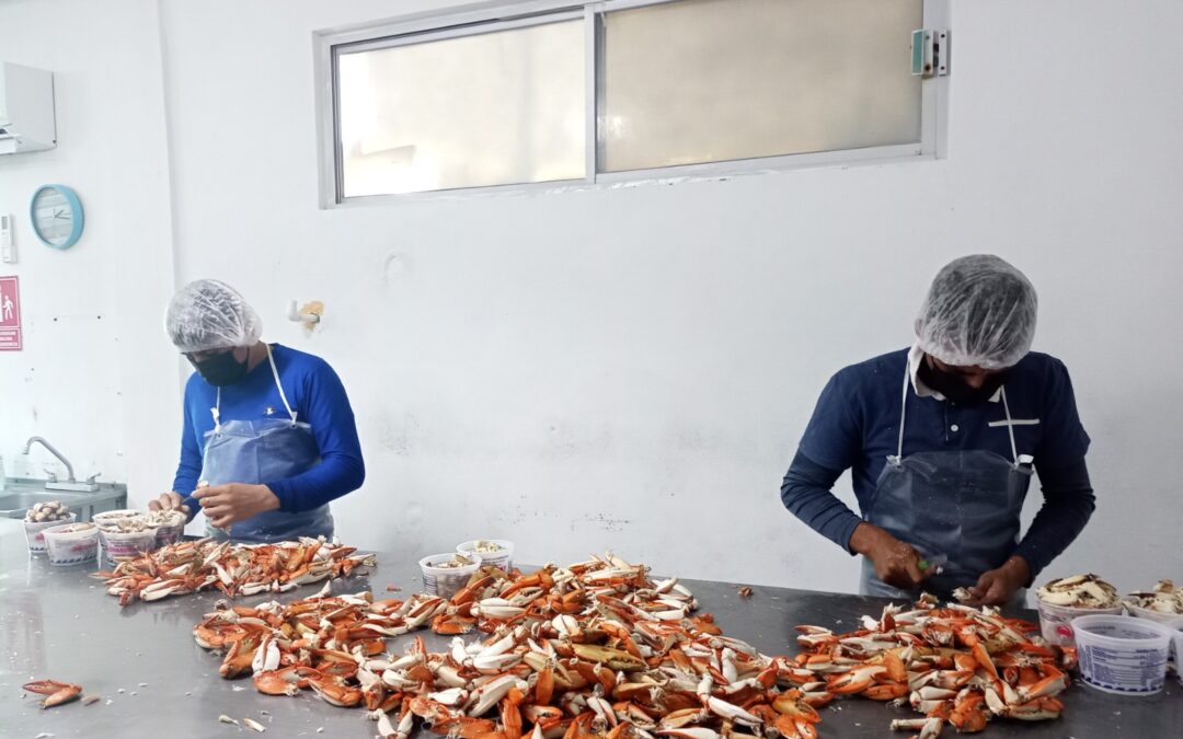 Consolida SEPADA el ordenamiento pesquero y acuícola en BCS