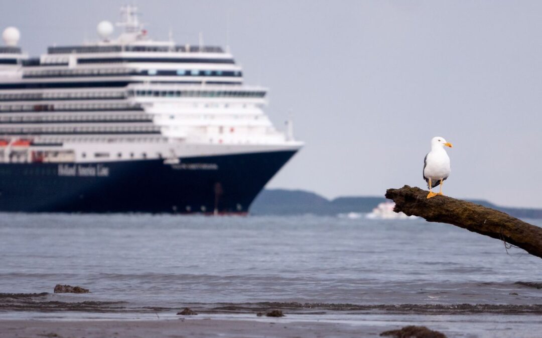 Emiten suspensión provisional contra decreto de puerto de altura en Loreto