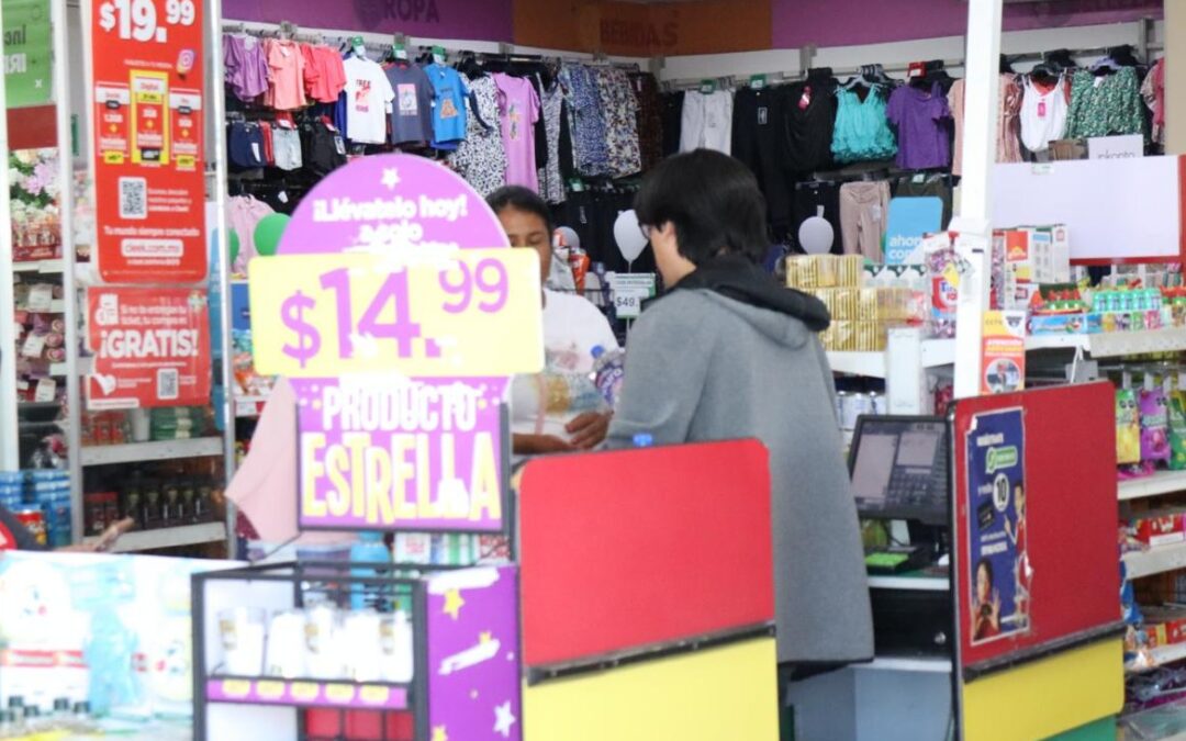 Realiza Gobierno de BCS más de 500 inspecciones para prevenir el trabajo infantil