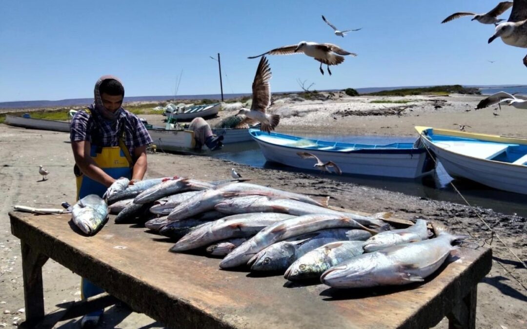 Convoca SEPADA a integrarse al seguro de vida pesquero y acuícola