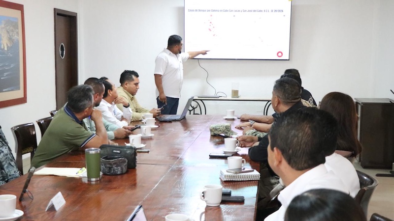 Reforzarán acciones de prevención de dengue en zonas de Los Cabos con mayor riesgo epidemiológico