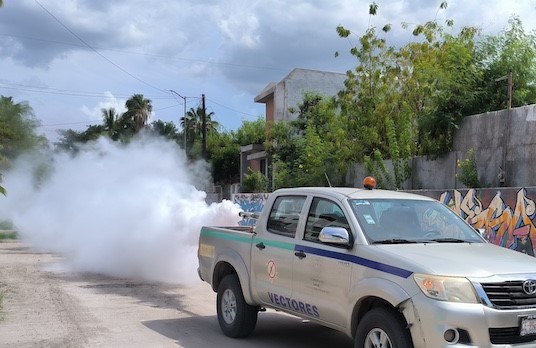 Iniciará Salud estatal operativo de fumigación contra el dengue en La Paz y Los Cabos