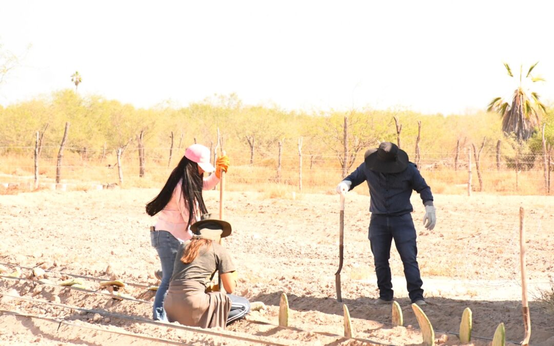 SEPADA y COSHCYTI coordinan acciones para atender la sequía en el sector agropecuario